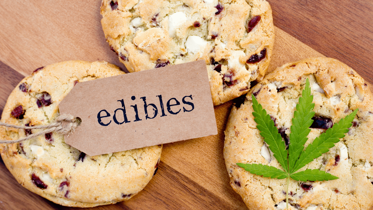 How Long do Marijuana Edibles Stay in Your System?