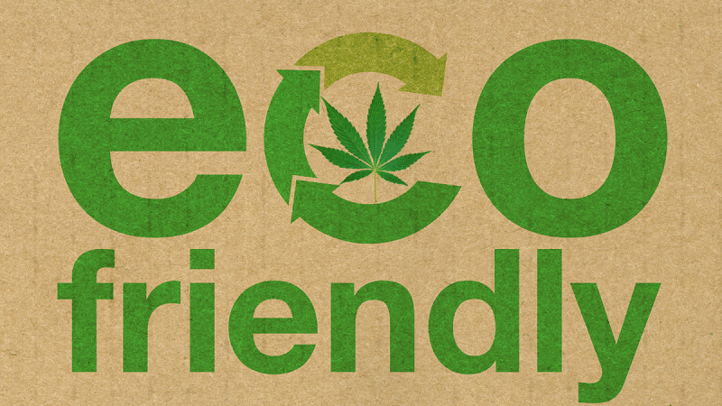 7 Tips for Growing Eco-Friendly Cannabis