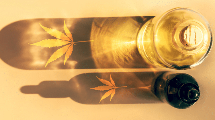 CBD and its wide range of benefits 420.mt CBD Oil and Other Products to be Legalised