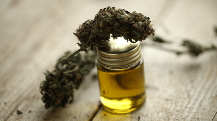 CBD products on the market are derived from hemp and not from cannabis CBD Oil for Dogs – The Best Things You Need to Know