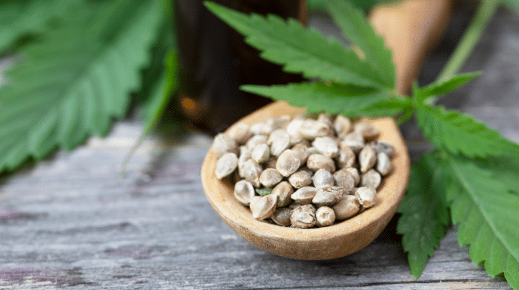 Grow from Seed 420.mt 7 Tips for Growing Eco-Friendly Cannabis