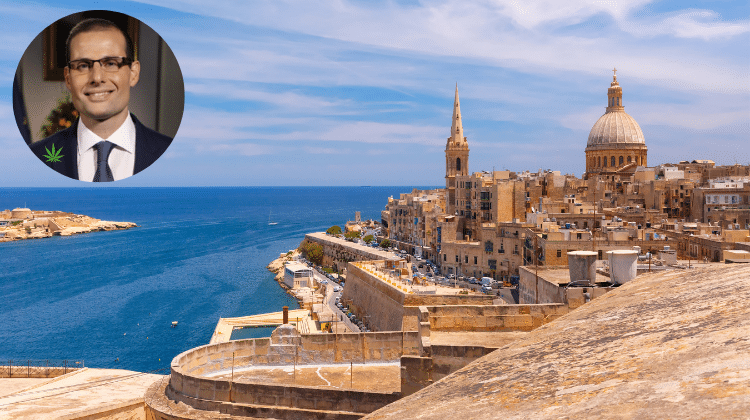 Malta Prime Minister Robert Abela A Guide to the Legalisation of Cannabis in Malta