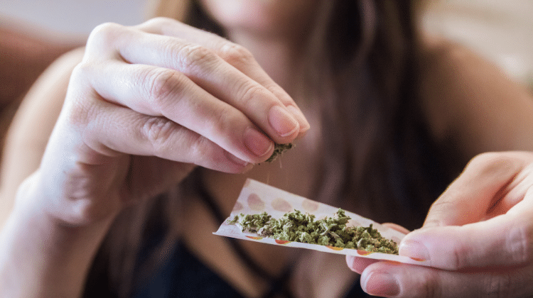 Marijuana as a Gateway Drug_420.mt