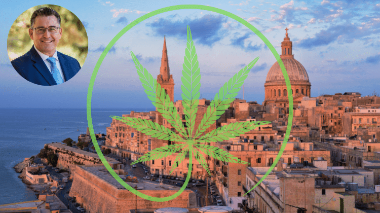 Opposition Leader Bernard Grech Against Cannabis Reform_420.mt