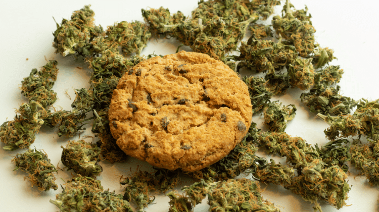 edibles are essentially food products that have cannabinoids 420.mt How Long do Marijuana Edibles Stay in Your System?