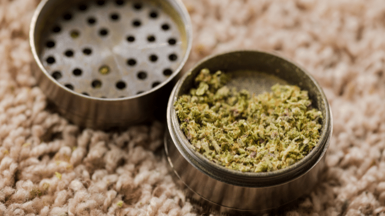 Get yourself a grinder Top Cannabis Mistakes to Avoid – Part 2