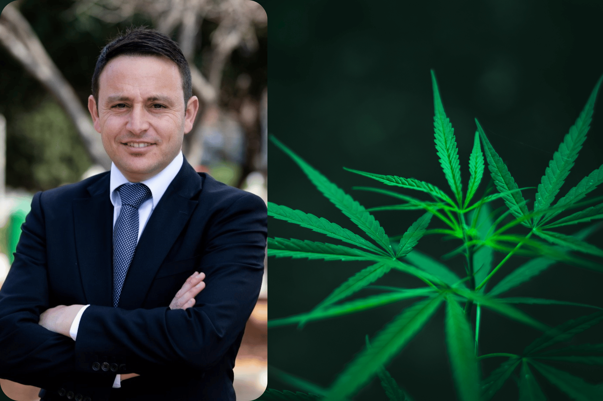 After Dimech was fired, former Caritas director Leonid McKay will lead the Cannabis Authority