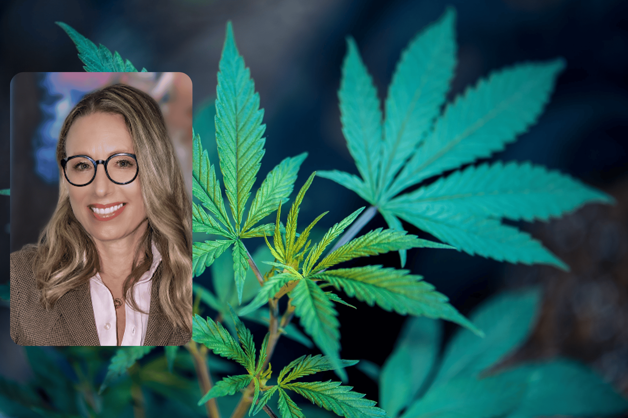 Mariella Dimech, now former chair of the Cannabis Authority, says her job was terminated