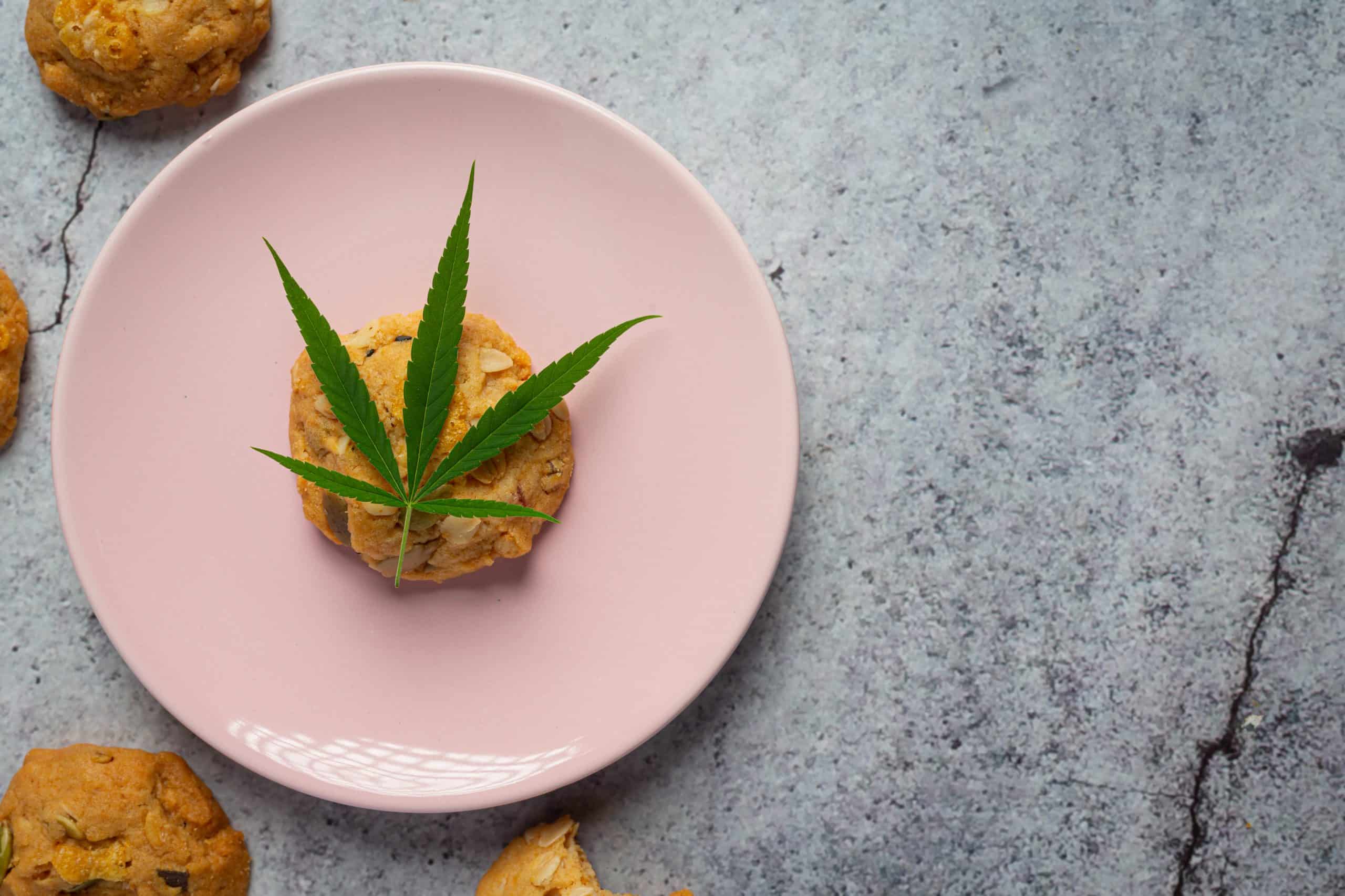 Why cannabis causes munchies (+5 food you can eat)