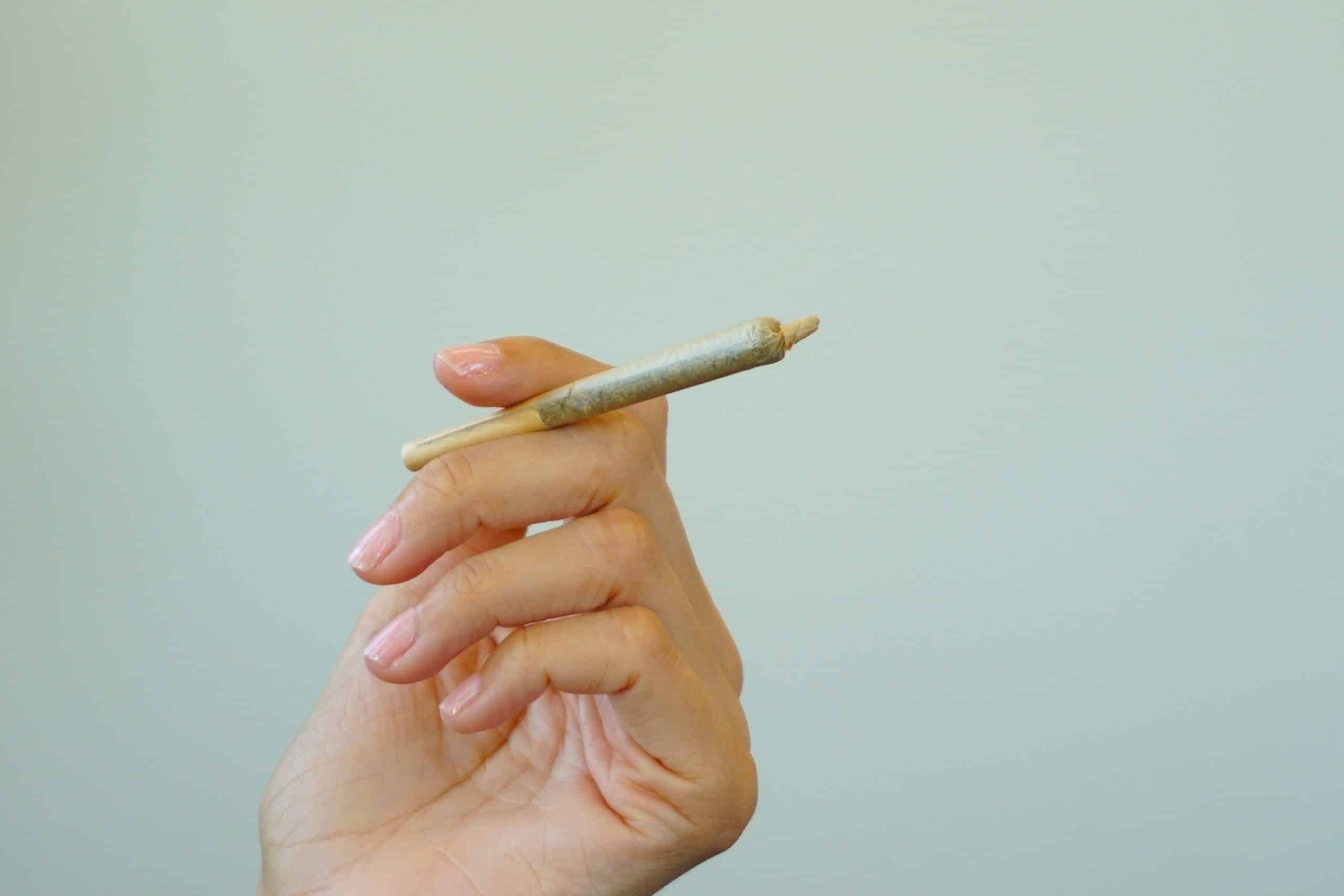 A person holding a rolled marijuana joint_420.mt