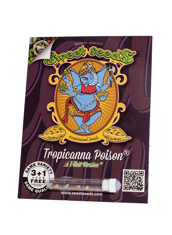 tropicanna poison f1 fast version 31 pack EN Tropicanna Poison F1 Fast Version (3+1 free)