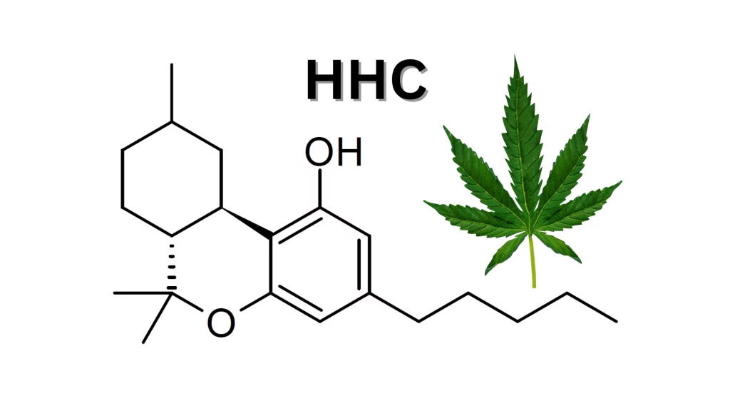 will hhc make you high Unraveling the Buzz: HHC vs THC - Understanding the Highs and Differences